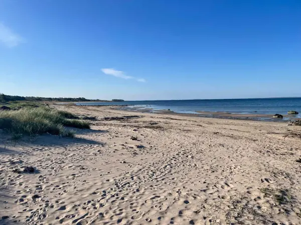 Bild 29 von 31