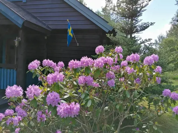 Ferienhaus STO710 in Tisslingeslingan 12, Norrtälje | Bild 30 von 30