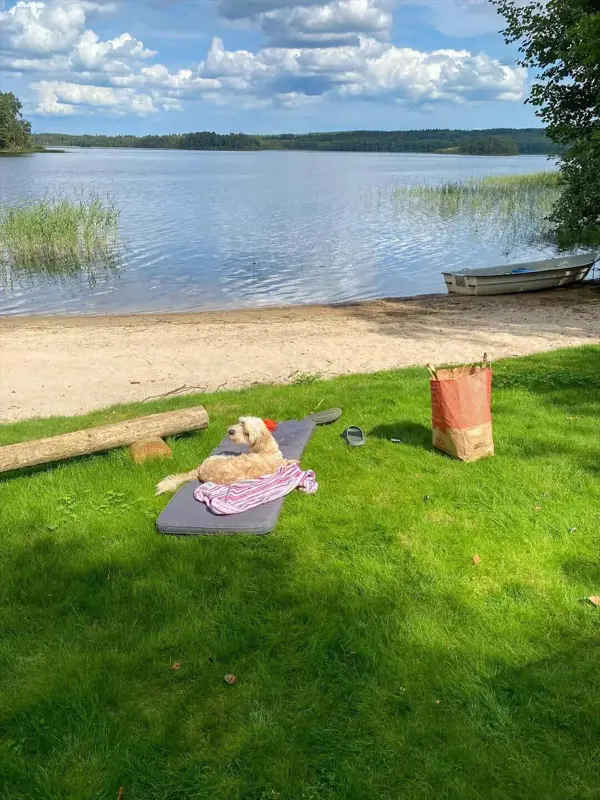 Bild 29 von 29
