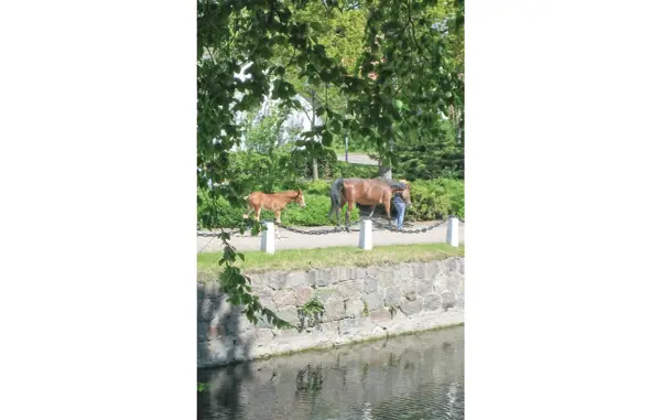 Bild 18 von 22