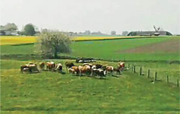 Bild 18 von 26