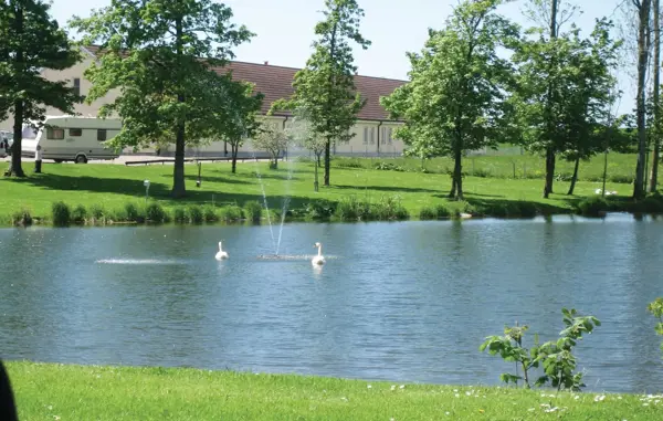 Bild 12 von 19