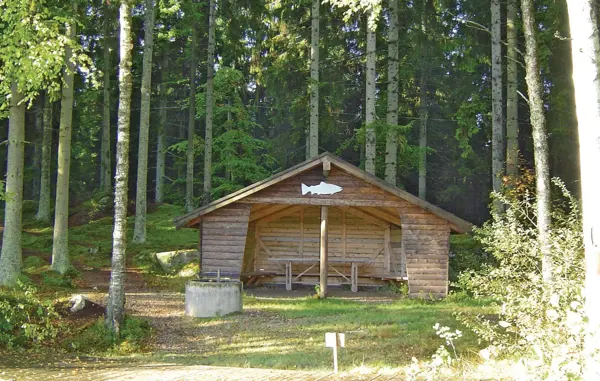 Bild 10 von 11