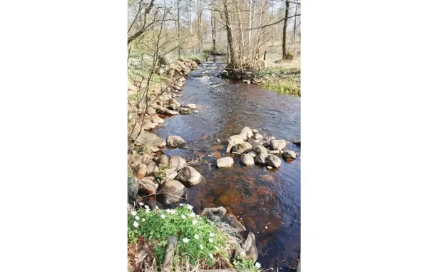 Bild 17 von 19