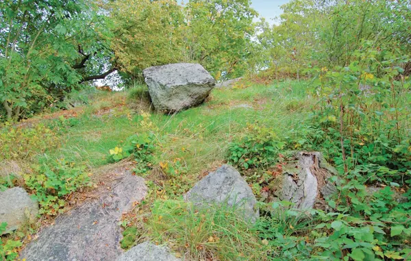 Bild 31 von 31