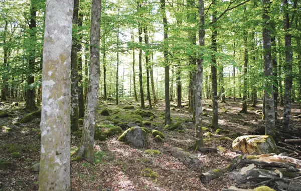 Bild 24 von 25