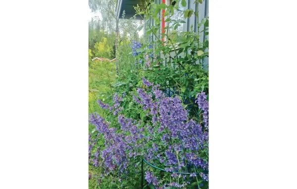 Bild 18 von 20