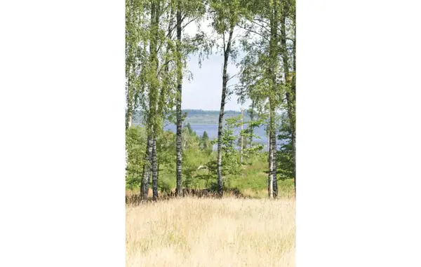 Bild 15 von 15