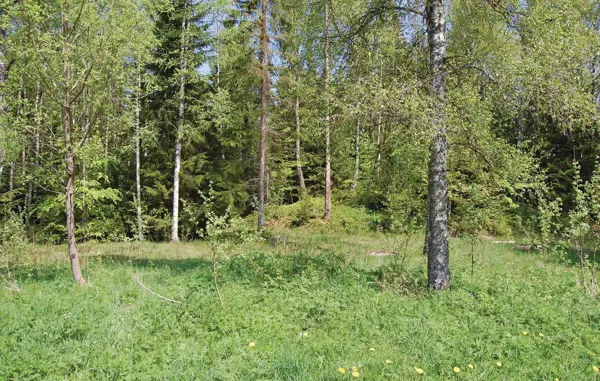 Bild 18 von 18