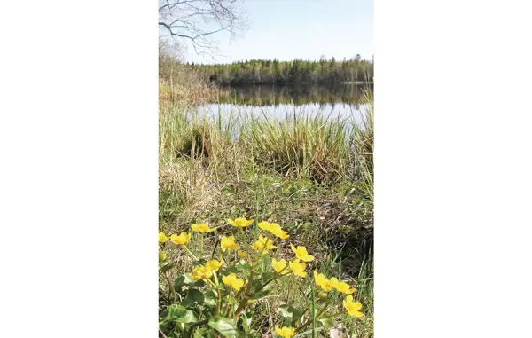 Bild 16 von 22