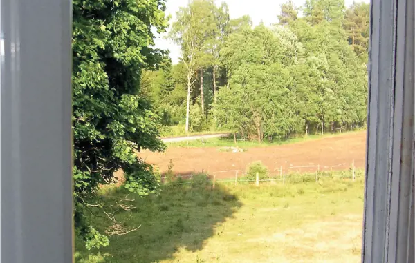 Bild 5 von 12