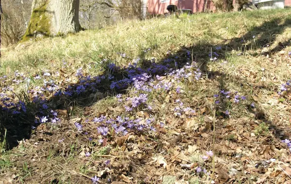 Bild 13 von 16