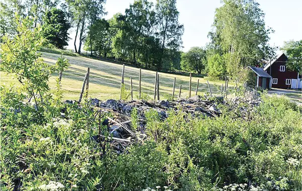 Bild 13 von 19