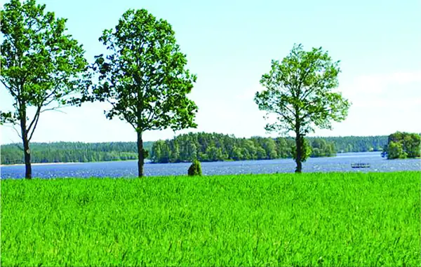 Bild 19 von 20