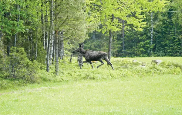 Bild 26 von 26