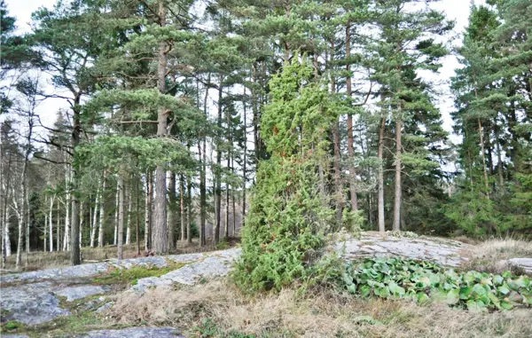 Bild 13 von 14