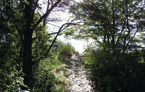 Bild 5 von 12