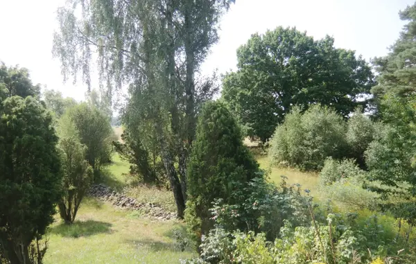 Bild 9 von 22