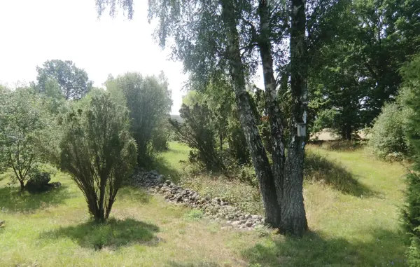 Bild 10 von 22