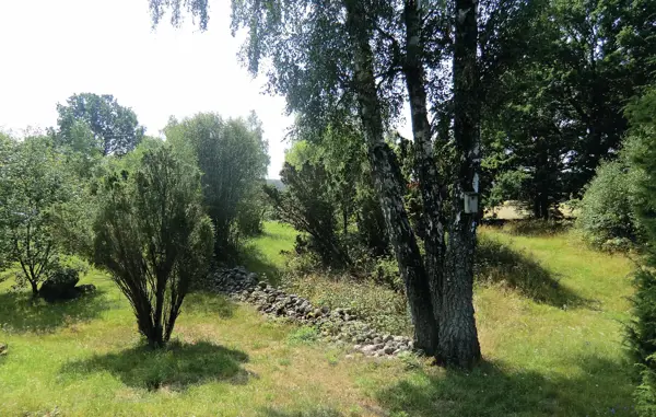 Bild 12 von 22