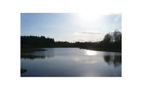 Bild 12 von 19