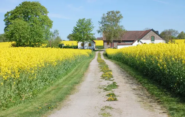 Ferienhaus S11621 in Sjöbo / Skåne