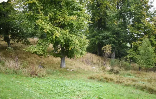 Bild 9 von 21
