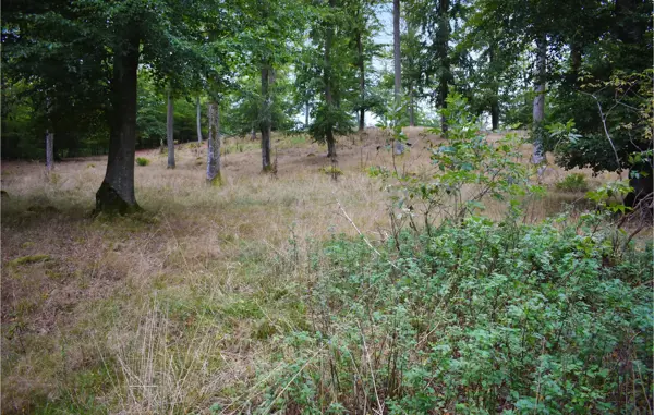 Bild 20 von 21