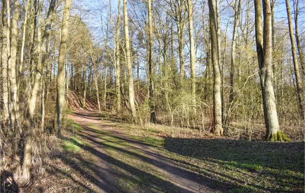 Bild 16 von 19