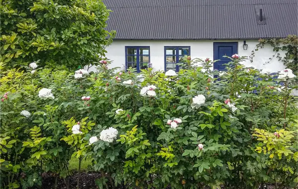 Bild 7 von 16
