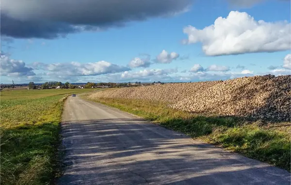 Bild 11 von 16