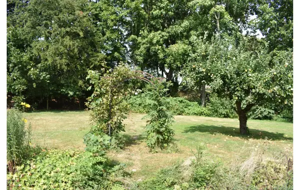 Bild 11 von 38
