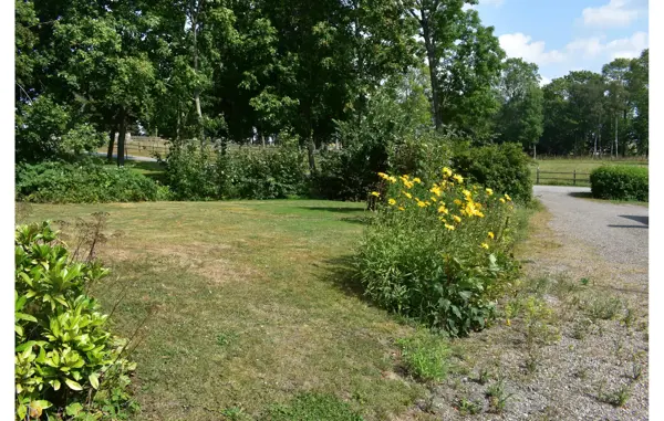 Bild 12 von 38