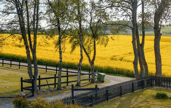 Bild 10 von 42