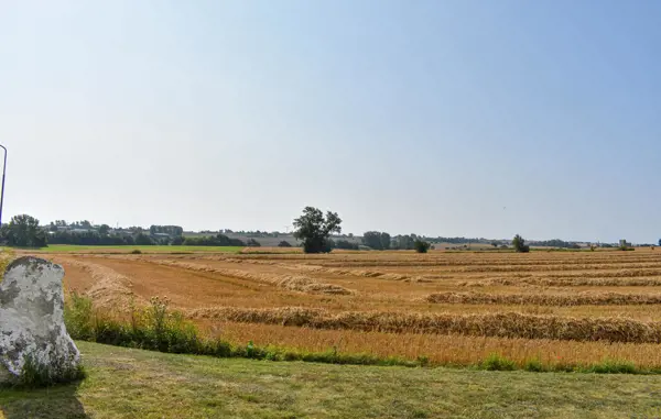Bild 16 von 29
