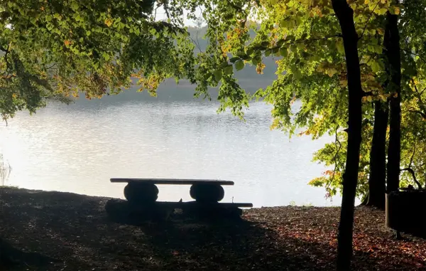 Bild 26 von 30