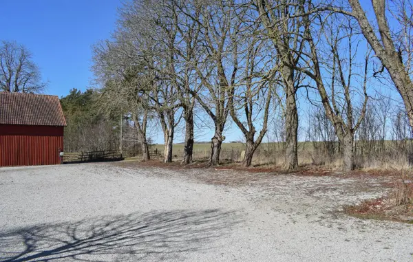 Bild 8 von 19