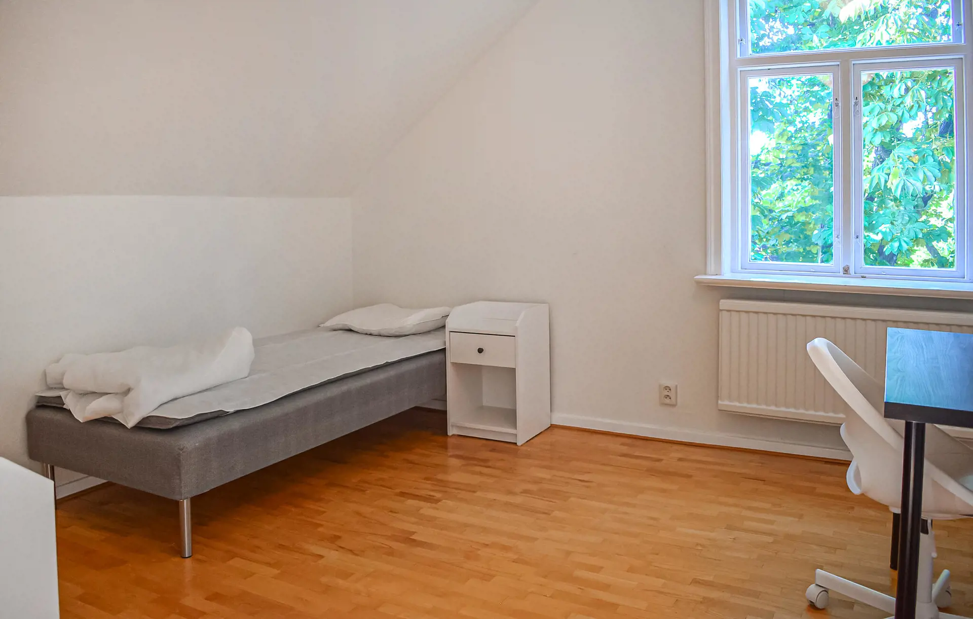 Bild 12 von 19