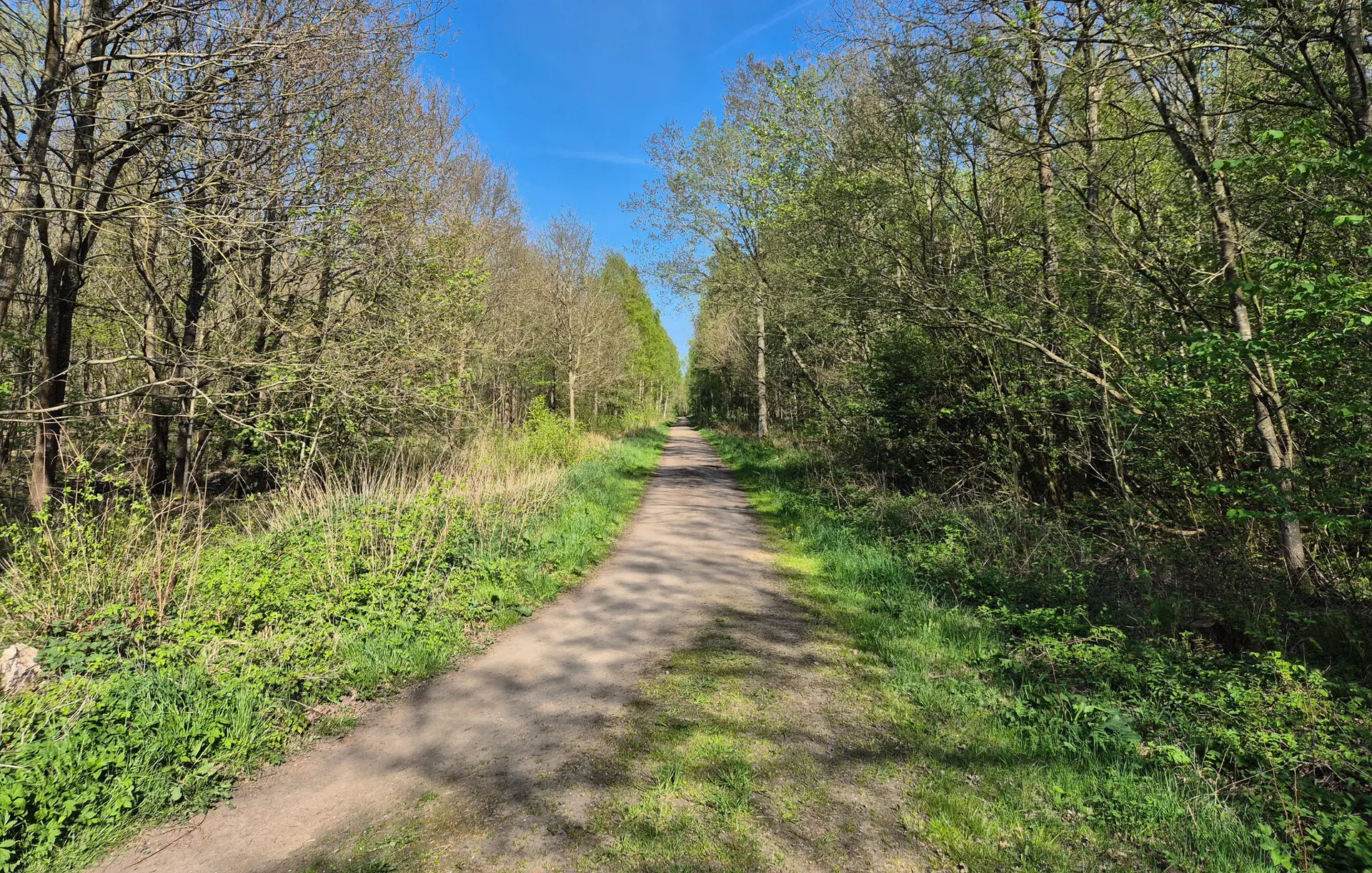 Bild 15 von 19