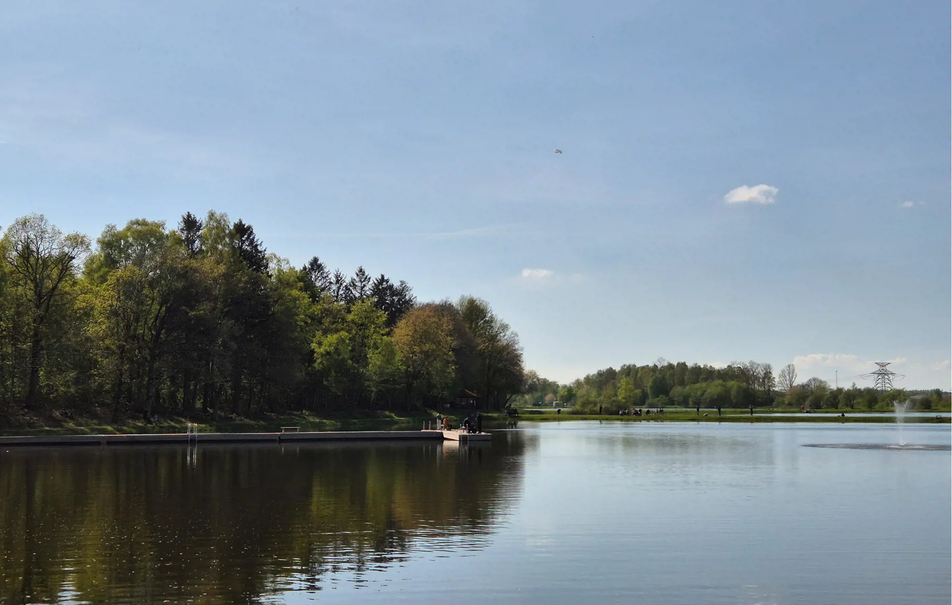 Bild 17 von 19
