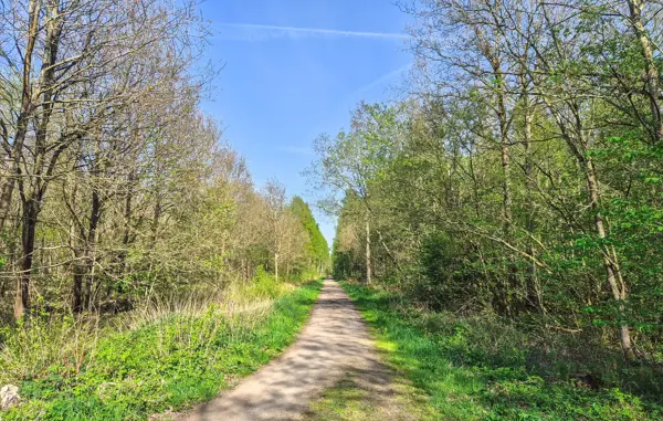 Bild 11 von 14
