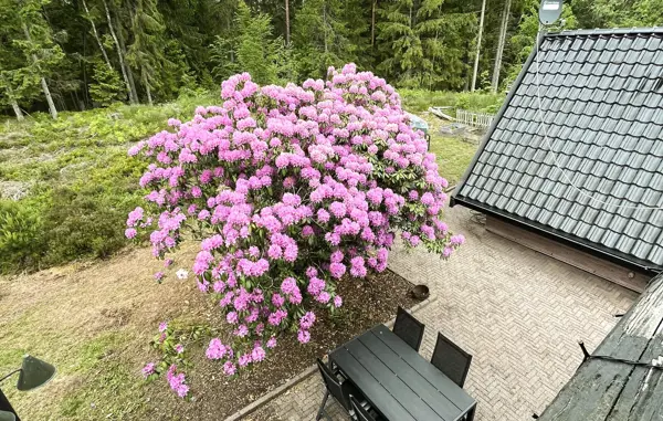 Bild 10 von 21