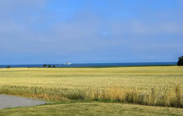 Bild 29 von 31
