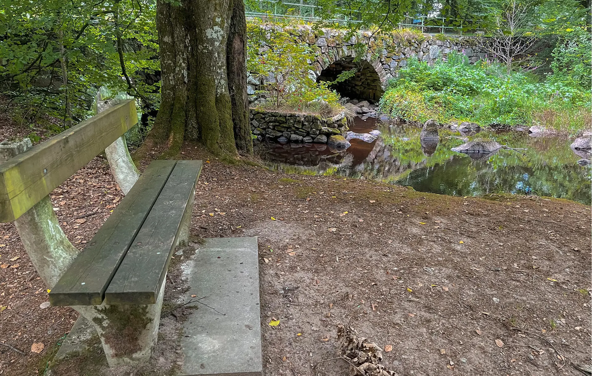 Bild 16 von 18