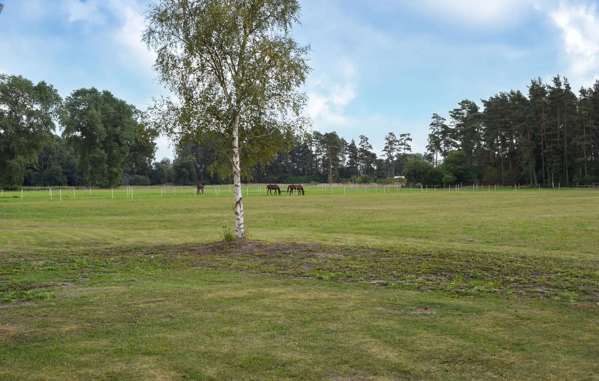 Bild 8 von 24