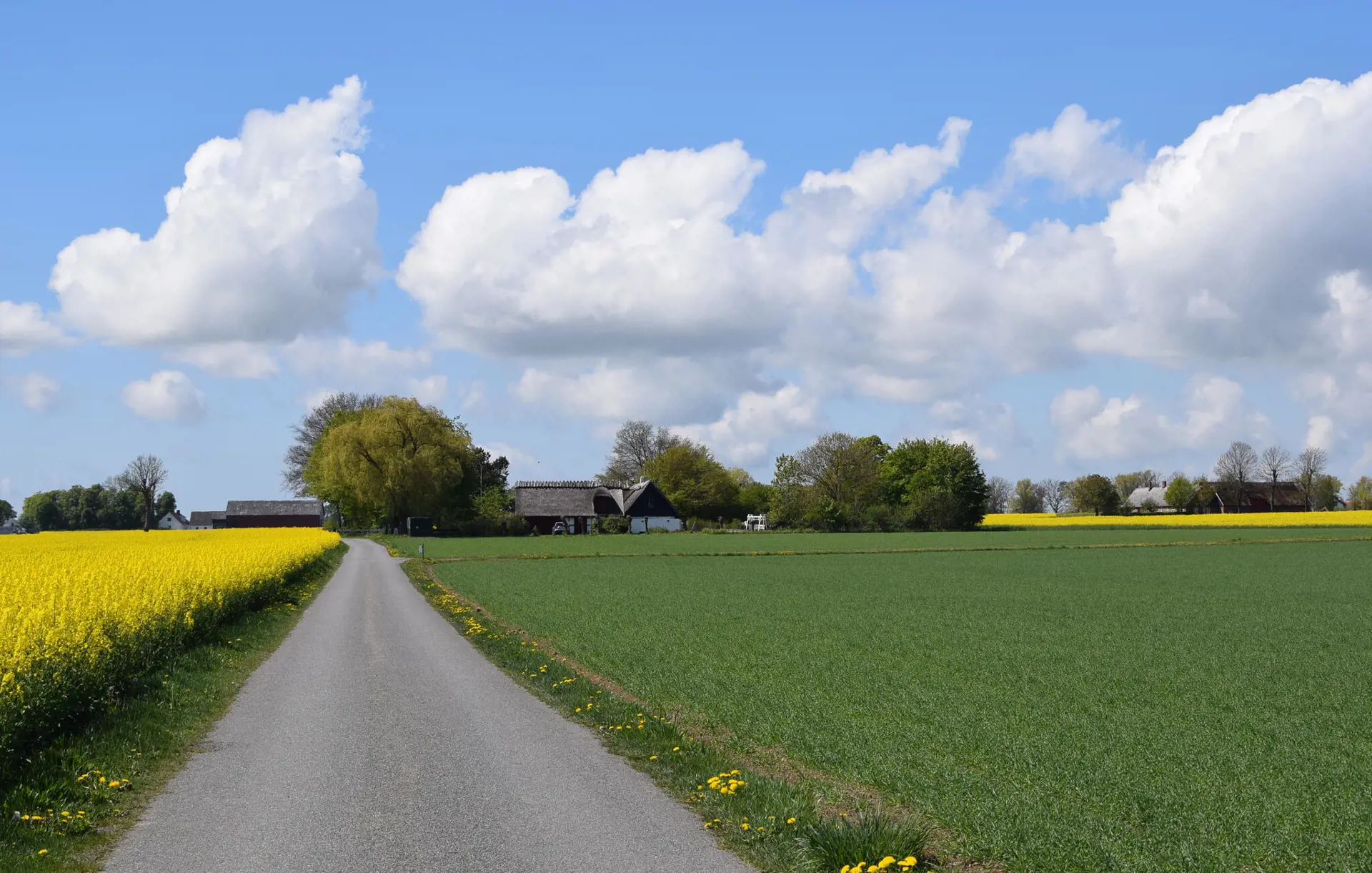 Bild 33 von 33