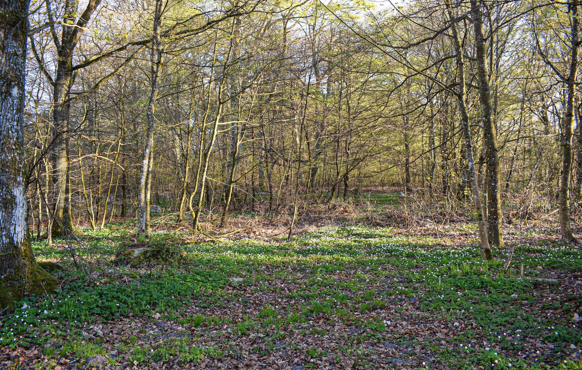Bild 11 von 20