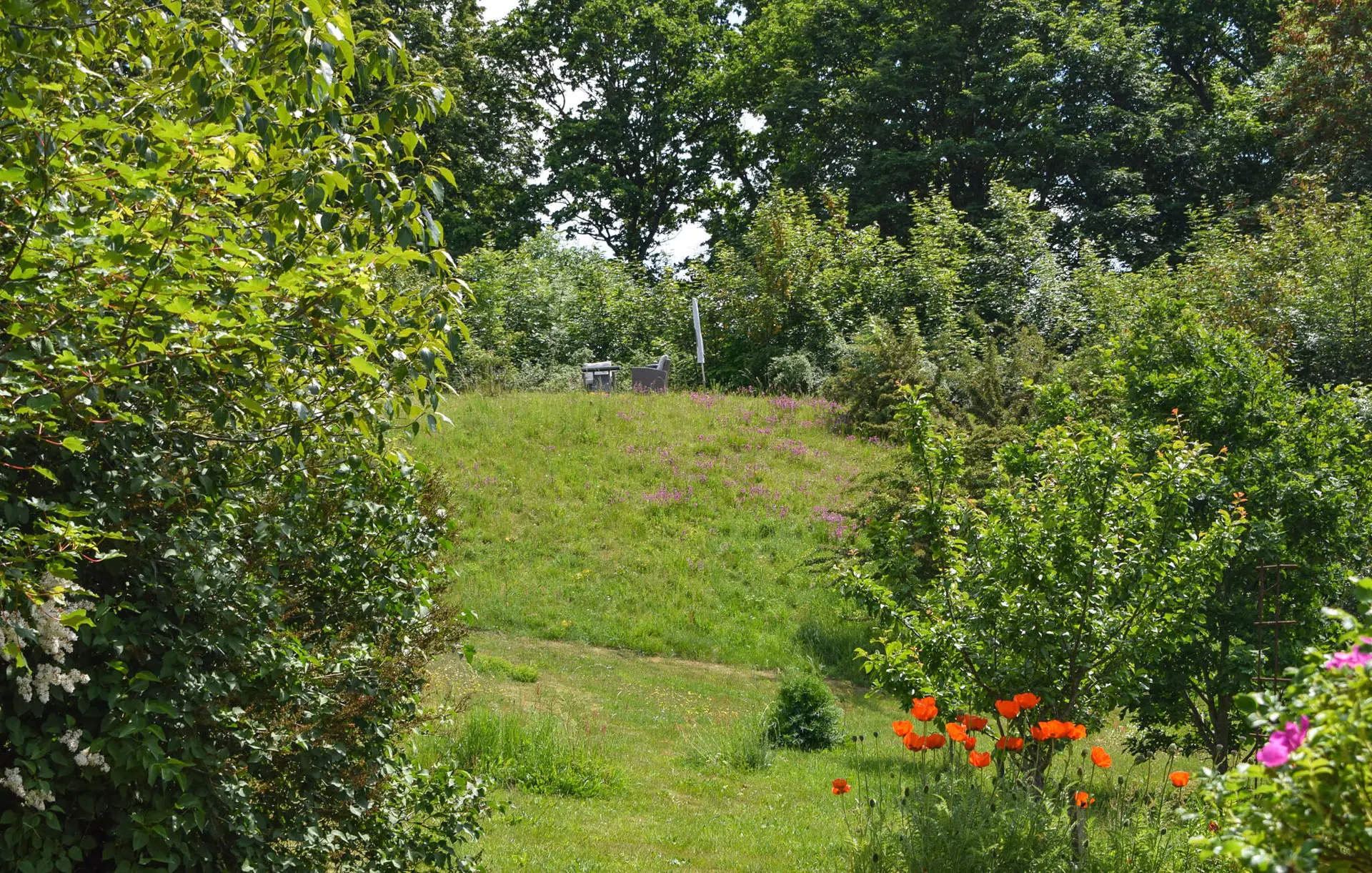 Bild 15 von 24