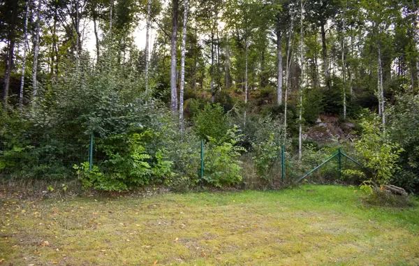 Bild 12 von 20
