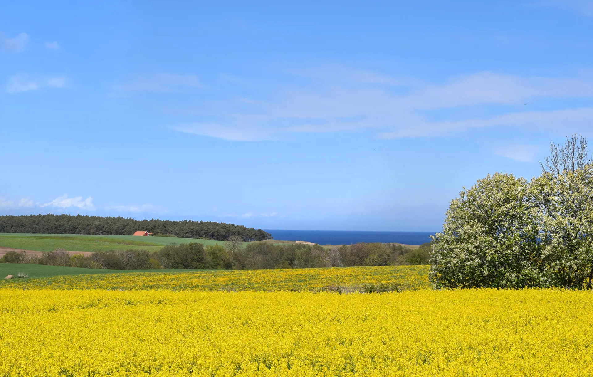 Bild 6 von 19